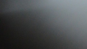 Una influencer decidió someter a su gato a un tatuaje y compartirlo en Instagram.