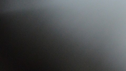 Una influencer decidió someter a su gato a un tatuaje y compartirlo en Instagram.