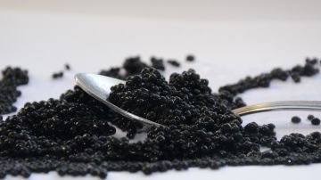 Caviar- Miroslavik en Pixabay
