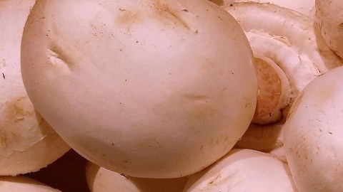 Champiñones blancos podrían prevenir la progresión del cáncer de próstata
