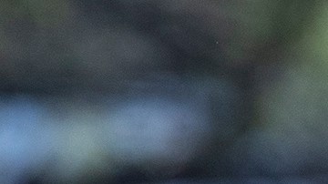 Santiago Giménez es el jugador del futuro para el Cruz Azul.