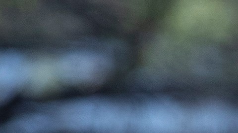 Santiago Giménez es el jugador del futuro para el Cruz Azul.