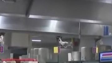 Food Arts Center, en Midtown East