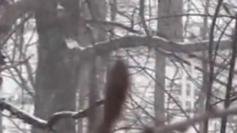 Los automovilistas acusan que no había sal en la vialidad.