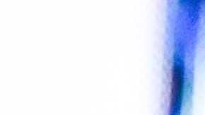 conor mcgregor negocios millonarios