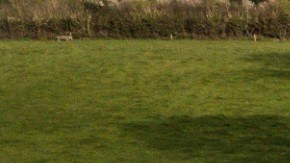 El inventario de nuevas viviendas está en mínimos históricos este inicio de 2020.