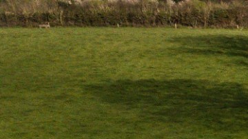 El inventario de nuevas viviendas está en mínimos históricos este inicio de 2020.