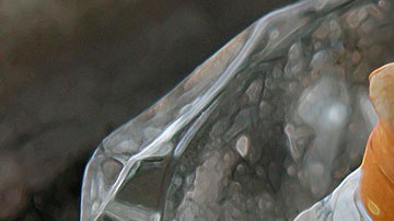 Esta política se implementará en 21 estados del país.