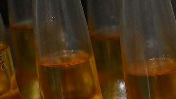 Lo único que tienen en común la cerveza y el virus es el nombre.