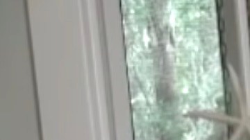 David Olney tenía 71 años.