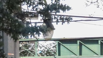 El hombre venía manejando y no se percató que alguien cruzaba la calle.