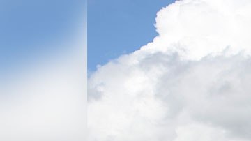 Podrás llevar a un amigo o familiar para que los dos vivan esta gran experiencia.