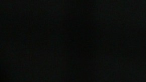 El perro fue recompensado por su buena acción.