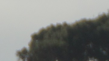 El el lugar hay diversos carteles que advierten sobre el agua contaminada. / fotos: Manuel Ocaño.