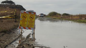 El el lugar hay diversos carteles que advierten sobre el agua contaminada. / fotos: Manuel Ocaño.