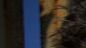 Voluntarios limpian el Jardín Binancional del lado mexicano. (Manuel Ocaño)