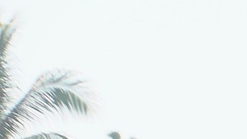 El grupo de migrantes consiguió cruzar el río Suchiate y avanzar durante horas hacia el interior de México.