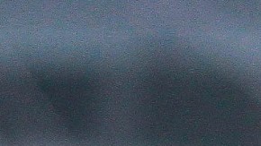 Robert Dante Siboldi aseguró que contará con el europeo.