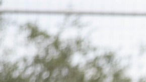 Funes Mori y Pizarro son dos de los integrantes del equipo que sorprendieron.