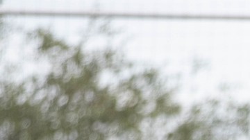 Funes Mori y Pizarro son dos de los integrantes del equipo que sorprendieron.