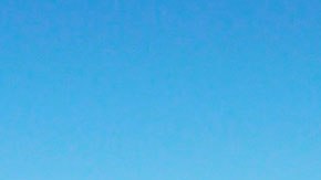 También se les dará alojamiento de lujo en la villa.