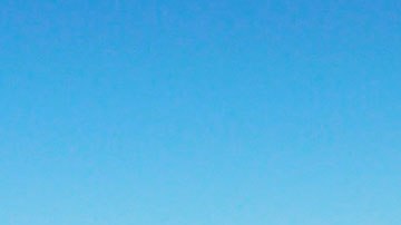 También se les dará alojamiento de lujo en la villa.