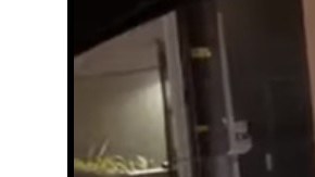 La víctima recibió un golpe en la cabeza que lo dejó inconsciente. (Imagen del video)