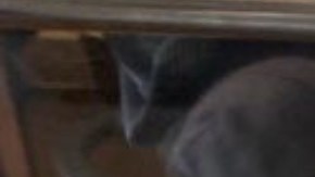 La policía de Miami pide ayuda para hallar a un bebé de meses que está desaparecido.