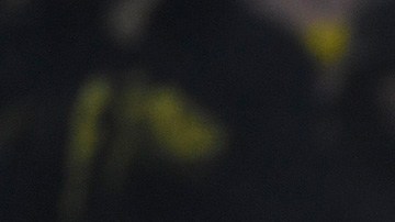 En 59 minutos, jugando en la Bundesliga, ya lleva cinco tantos.