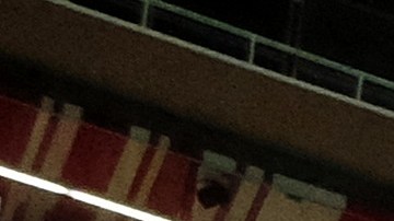 esposa de antonio briseño