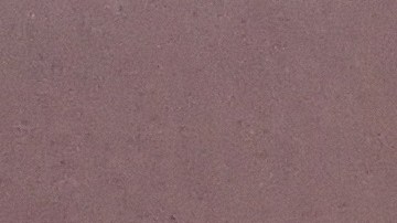 esquite-AHH-La Opinión