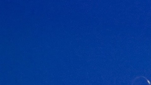 La aprobación del mandatario ha aumentado entre la derecha internacional.