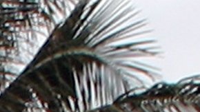 Florida es una de las ciudades más atractivas para vivir.