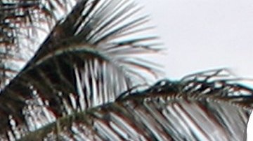 Florida es una de las ciudades más atractivas para vivir.