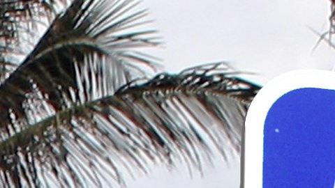 Florida es una de las ciudades más atractivas para vivir.