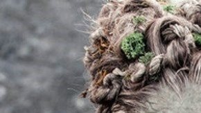 Ficción de HBO sobre "Game of Thrones"