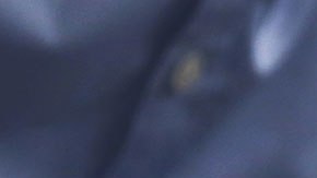 Abreviar esta fecha en documentos importantes podría meterte en muchos problemas.