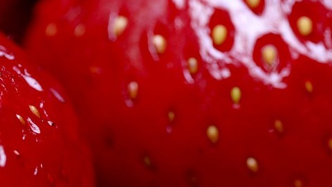 Fresas