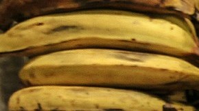 Existen más alimentos en “peligro de extinción” según detallan otros estudios, tales como el maíz, mariscos y miel de maple, entre otros.