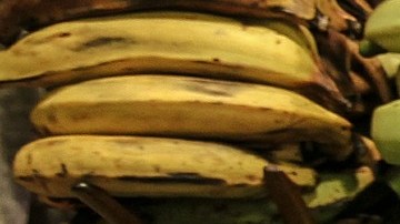 Existen más alimentos en “peligro de extinción” según detallan otros estudios, tales como el maíz, mariscos y miel de maple, entre otros.