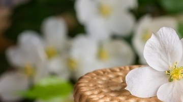 galletas María-px here