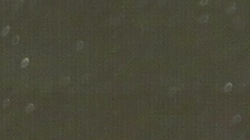 A McGregor le falta un cinturón de monarca mundial de boxeo