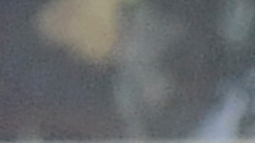 novia lucas passerini