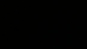 quien es diego dreyfus