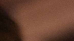 ICE ha aumentado investigaciones en espacios de trabajo.