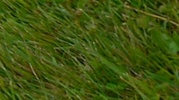 Inmigrantes muertos ICE