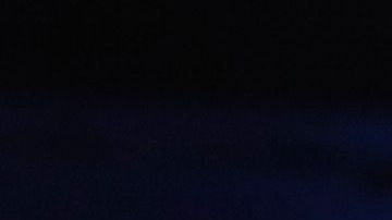 Sanders y Warren en días  más amigables.