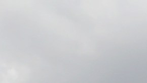 Los detectives siguieron durante varios días al hombre hasta que descubrieron lo que estaba haciendo.