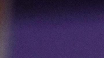 Castro apuntaló su campaña en inmigración y lucha contra la pobreza.