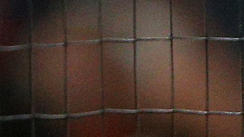 Tilman Fertitta (centro) con James Harden y Russell Westbrook.